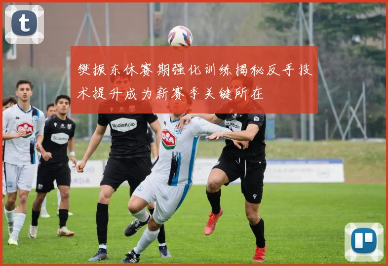 樊振东休赛期强化训练揭秘反手技术提升成为新赛季关键所在