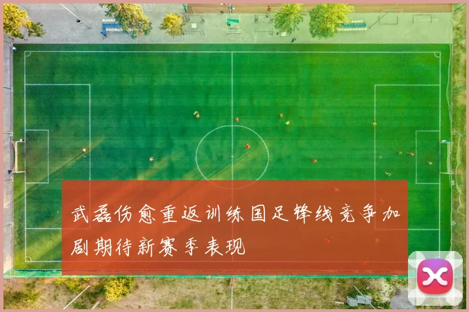 武磊伤愈重返训练国足锋线竞争加剧期待新赛季表现
